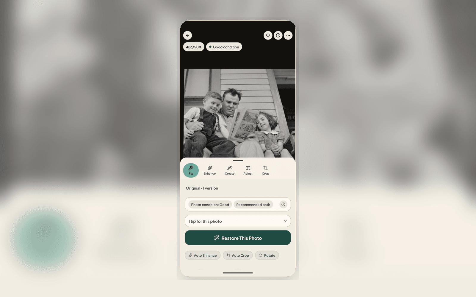 Photo info panel showing structured Who When Where What Story fields