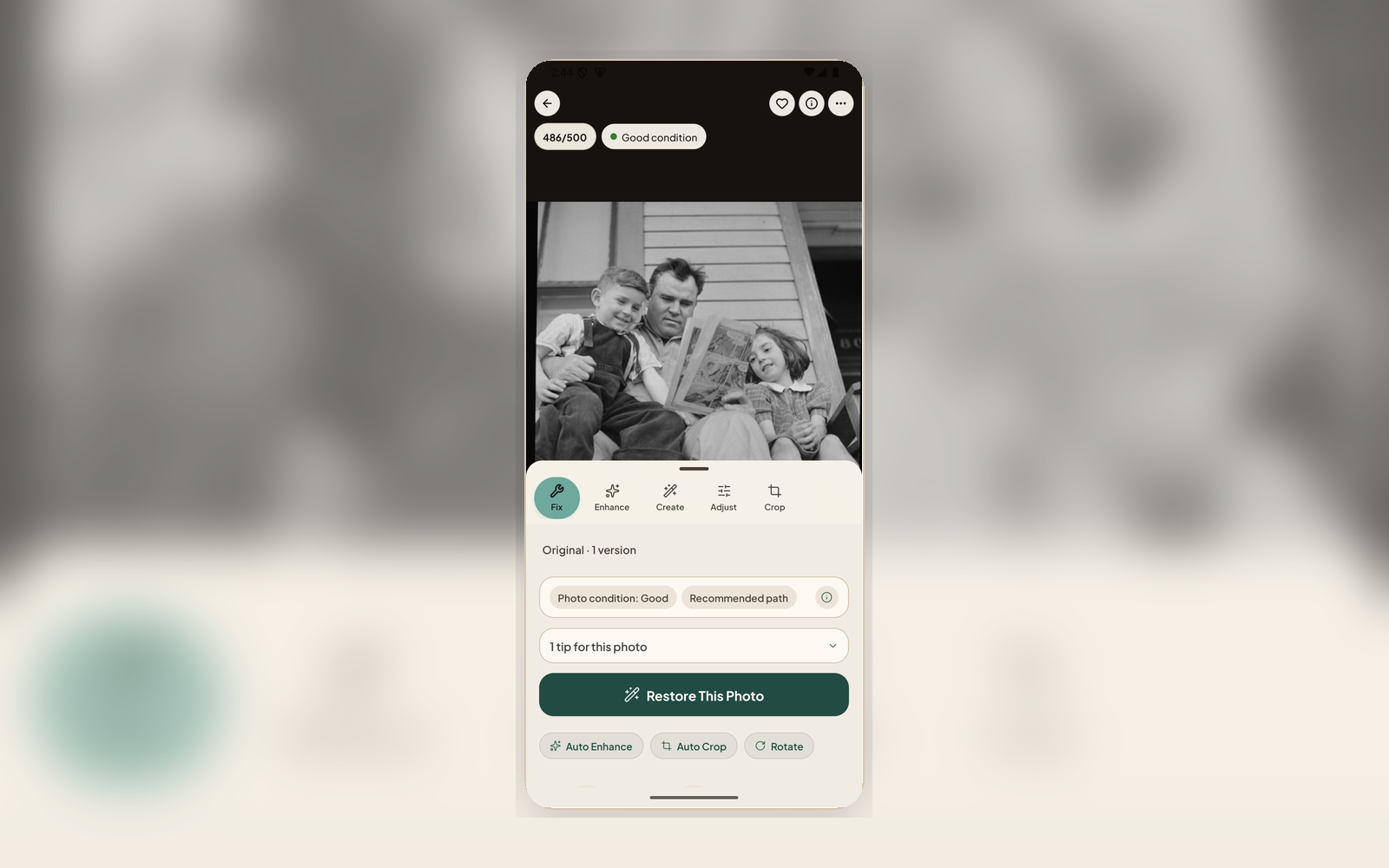 Live restore detail view showing photo condition and the recommended repair path